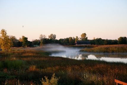 Bruce pond fog sunrise sized for web