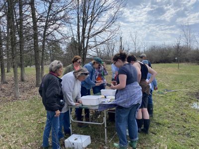 A group of people examining water creatures outdoors around a table