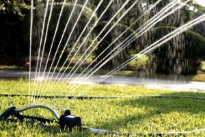 stock-footage-a-lawn-sprinkler-wasting-water-by-not-only-watering-a-parched-lawn-but-the-driveway-as-well
