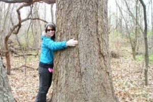 tree hugger