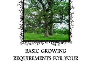 Oak Facts for Landowners Municipality