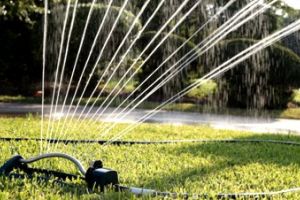 stock-footage-a-lawn-sprinkler-wasting-water-by-not-only-watering-a-parched-lawn-but-the-driveway-as-well
