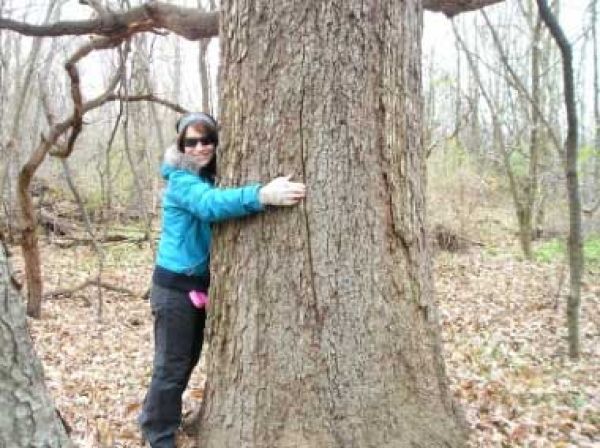 tree hugger