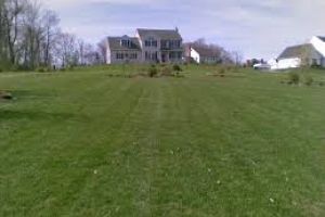 lawn