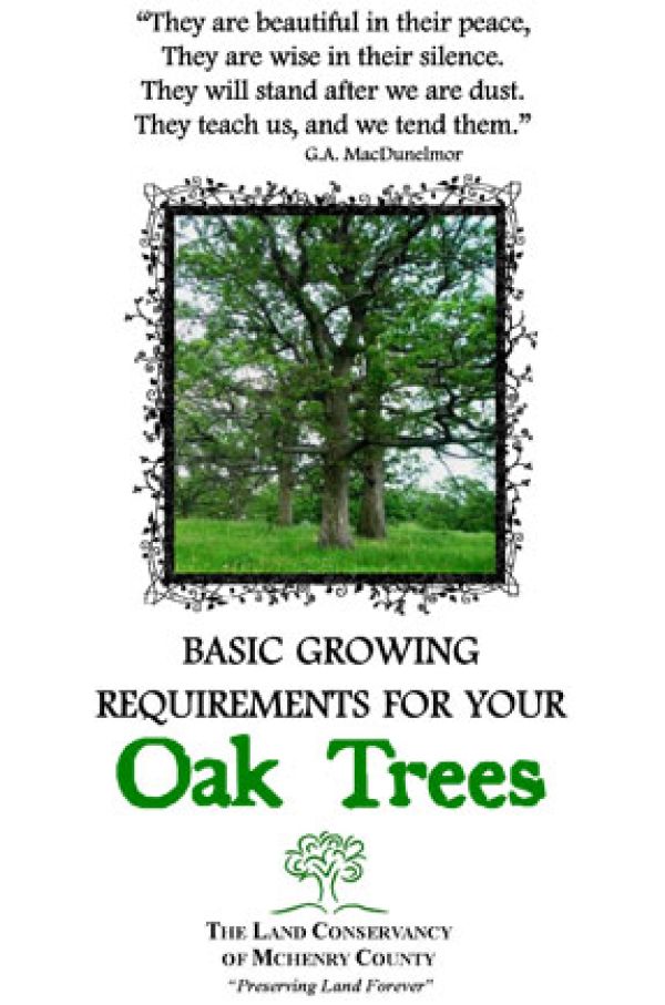 Oak Facts for Landowners Municipality