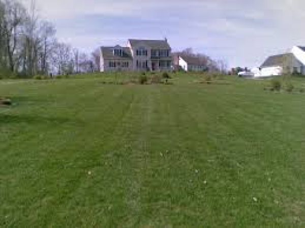 lawn