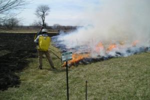 controlled burn