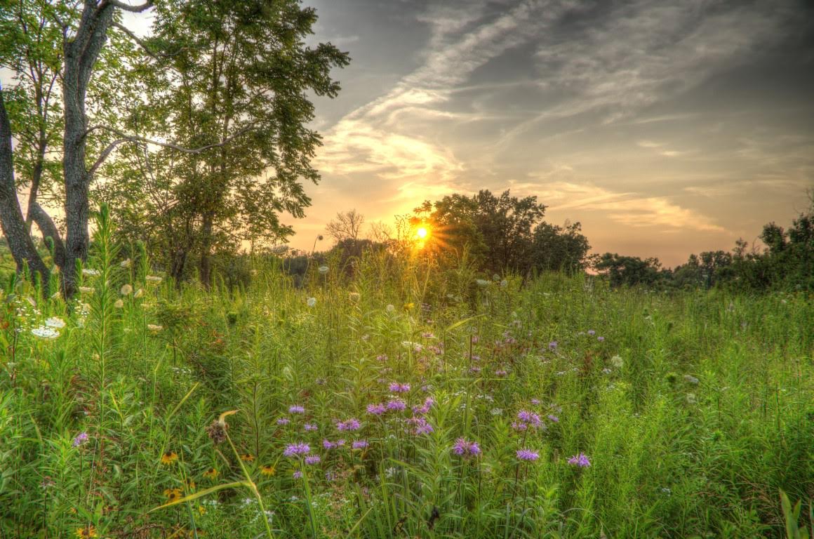 About - The Land Conservancy of McHenry County