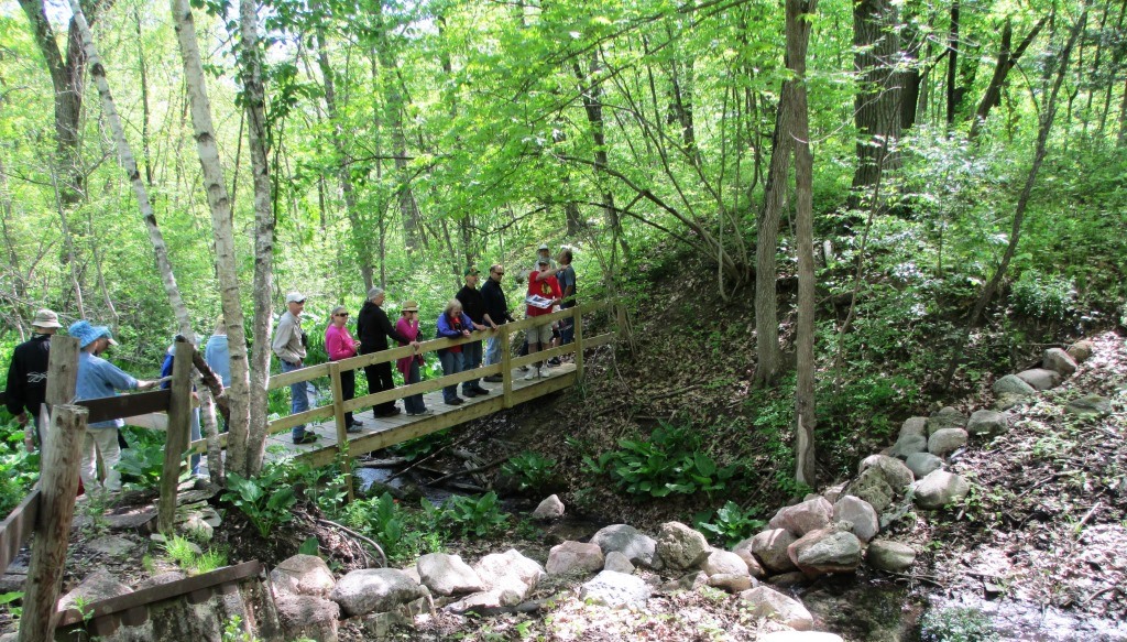 babcock crossing creek 3 SpringHollow