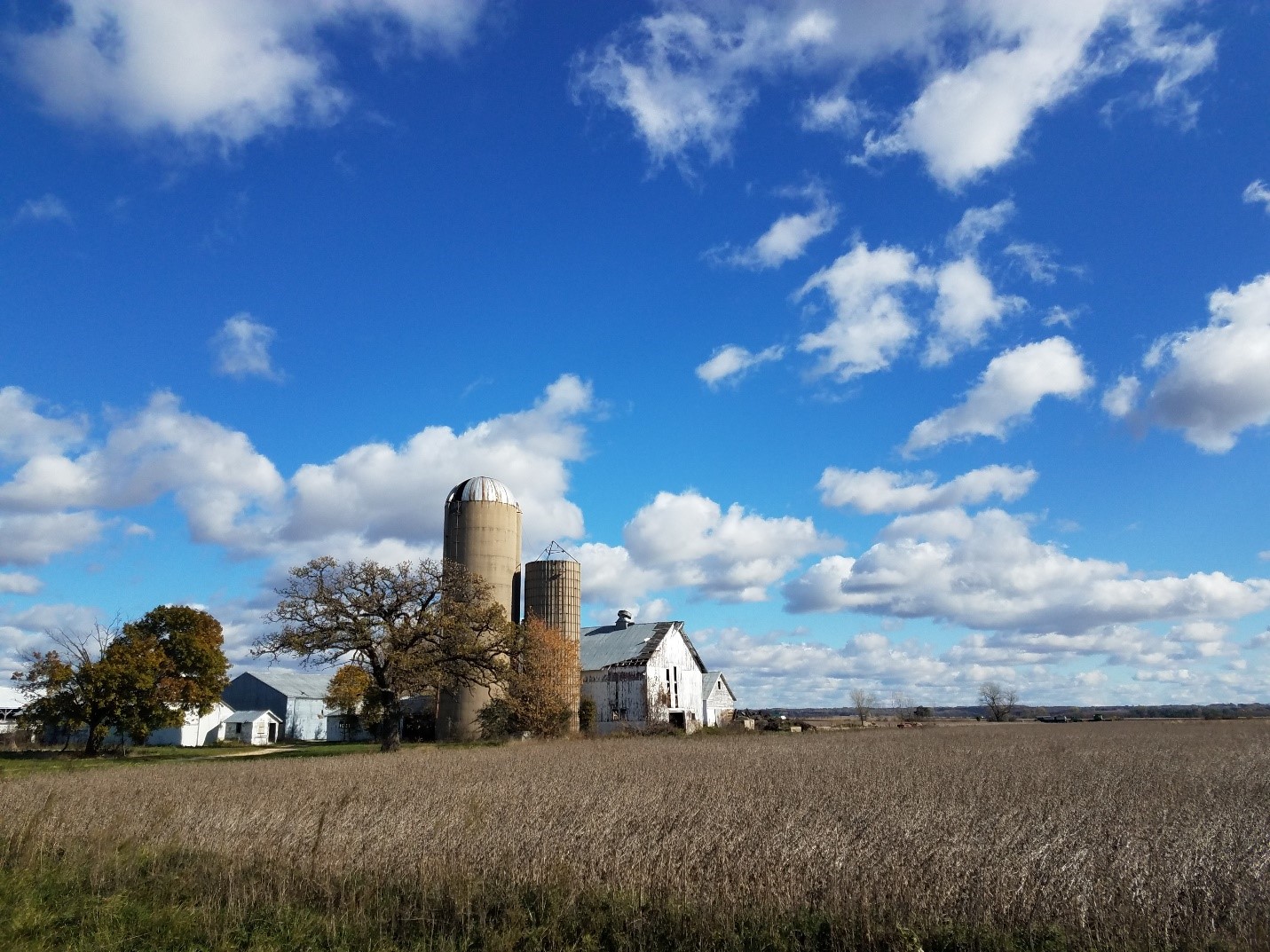 Photo of a farm set against a blue sky