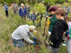 A man teaching students how to plant a tree.