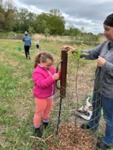 A girl planting a tree.