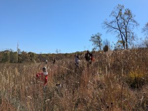 People collecting seed in a field