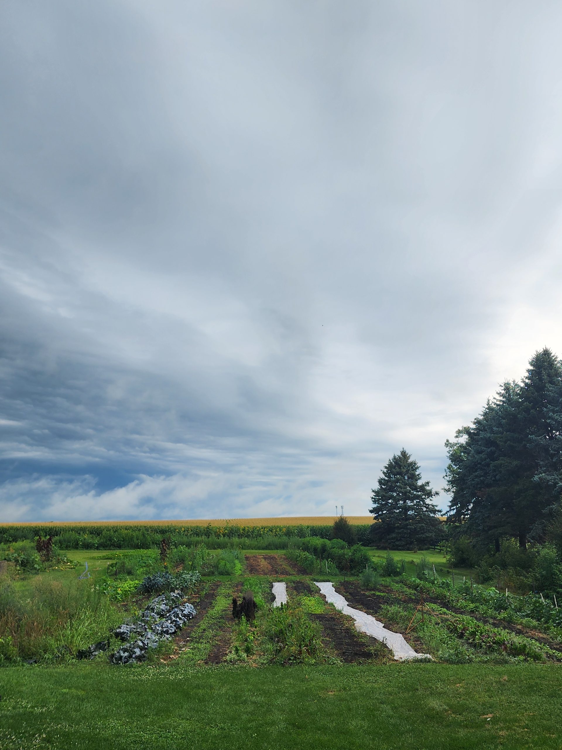 Farm and sky
