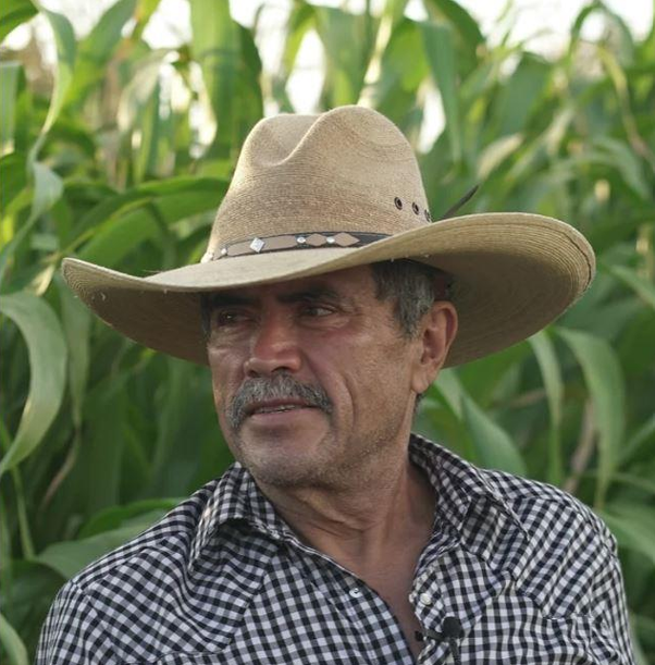 Photo of a man in a cornfield
