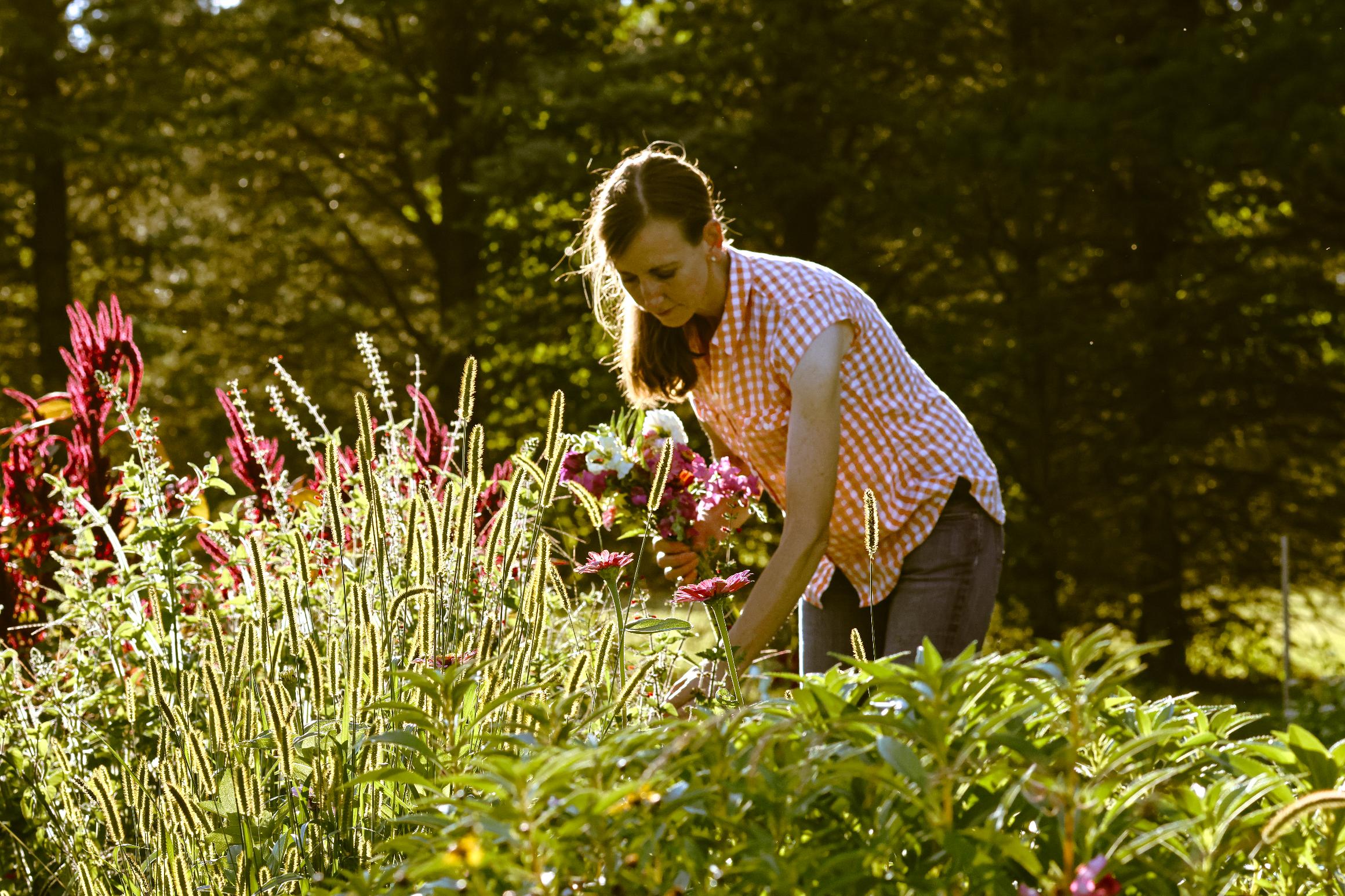 A girl in a field picking flowers.