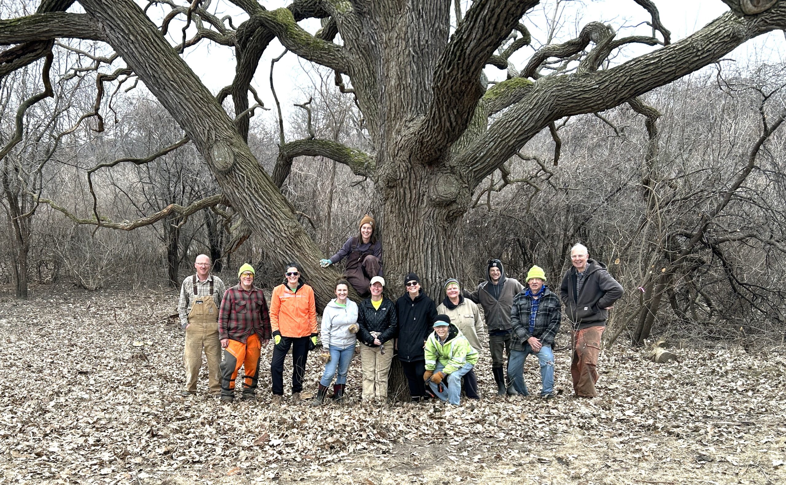 A group of people pose under a large oak tree in early spring.