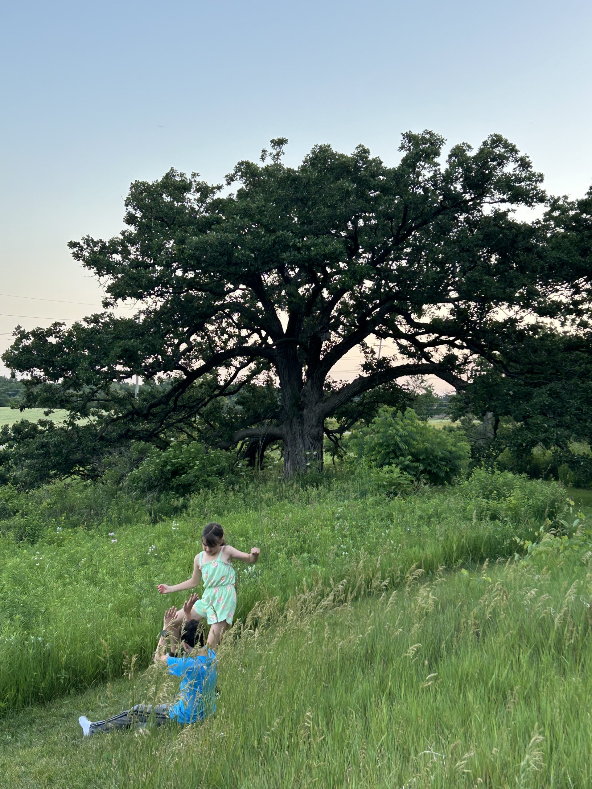 Two children playing with an oak in the background