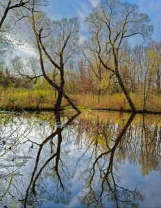 An early spring scene of the pond at Hennen Conservation Area