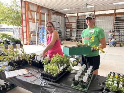 Two people with trays of plants
