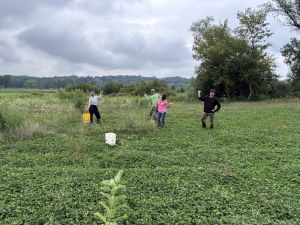 Spreading native seeds at a preserve.