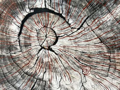 An art quilt of tree rings